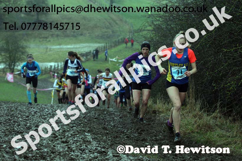 Senior womens Start Fitness NEHL, Peterlee, County Durham. Photo: David T. Hewitson/Sports for All Pics